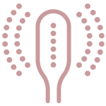 icon1