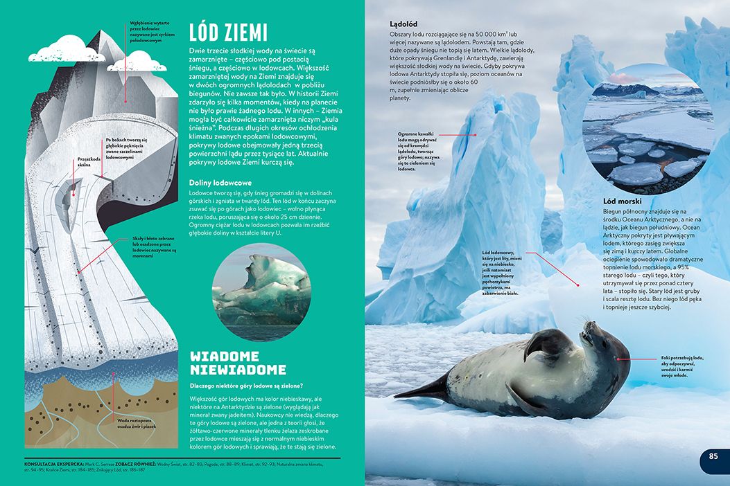 Britannica. Nowa encyklopedia dla dzieci - 3