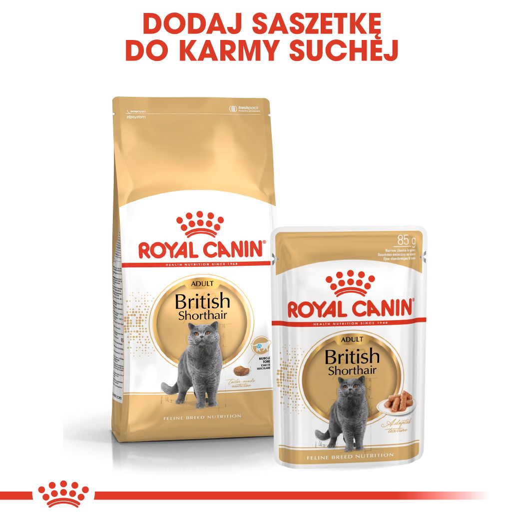 ROYAL CANIN® British Shorthair Adult -4
