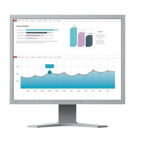 Eizo FlexScan S2133 GY
