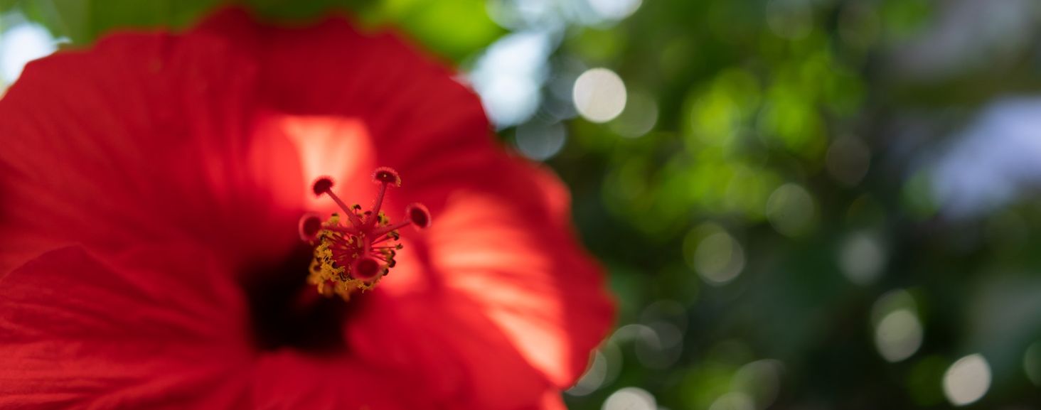 Tamron 24MM F/2.8 DI III OSD M1:2 SONY FE