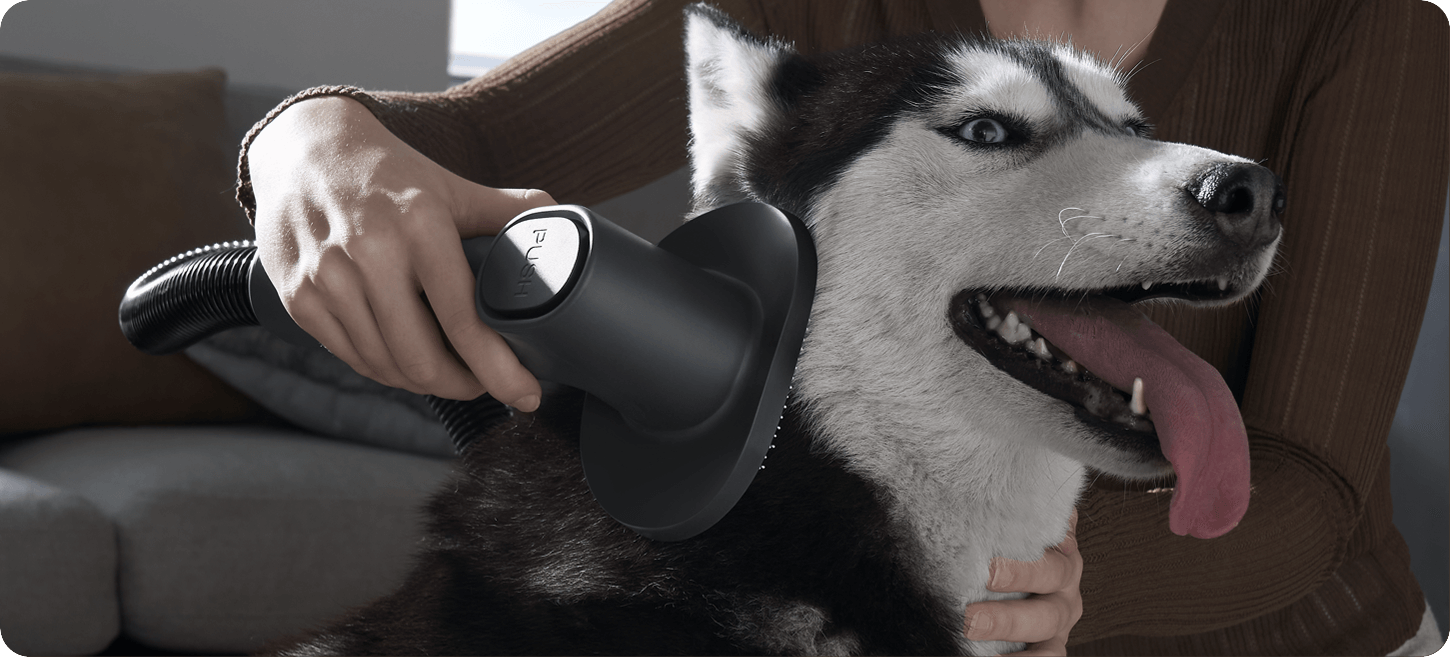 Xiaomi Vacuum Cleaner G20 Max (8)