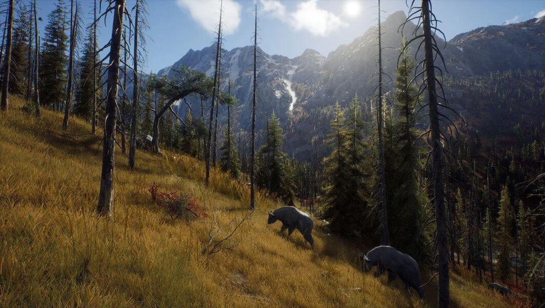 way of the hunter