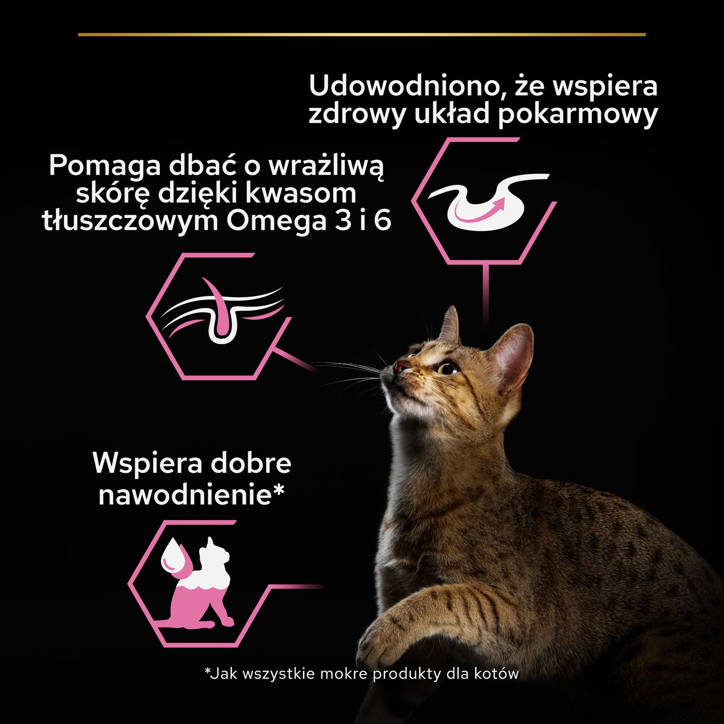 Purina Pro Plan 85G Kitten Indyk info