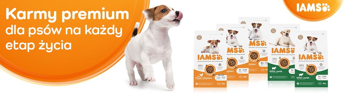 IAMS banner