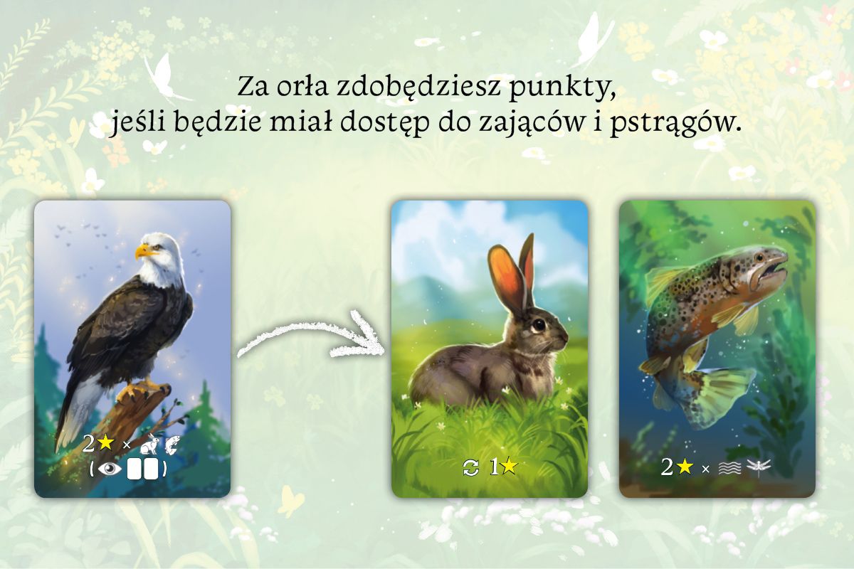 Nasza Księgarnia Ekosystem