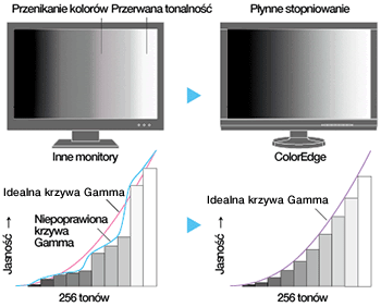 Eizo ColorEdge krzywa gamma