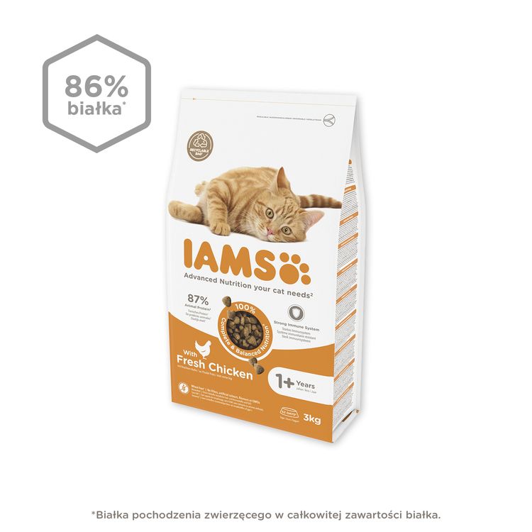 IAMS Advanced Nutrition – sucha karma dla kotów