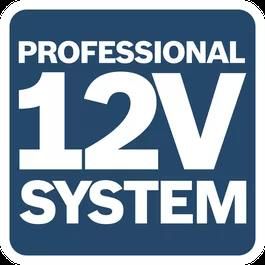System 12V