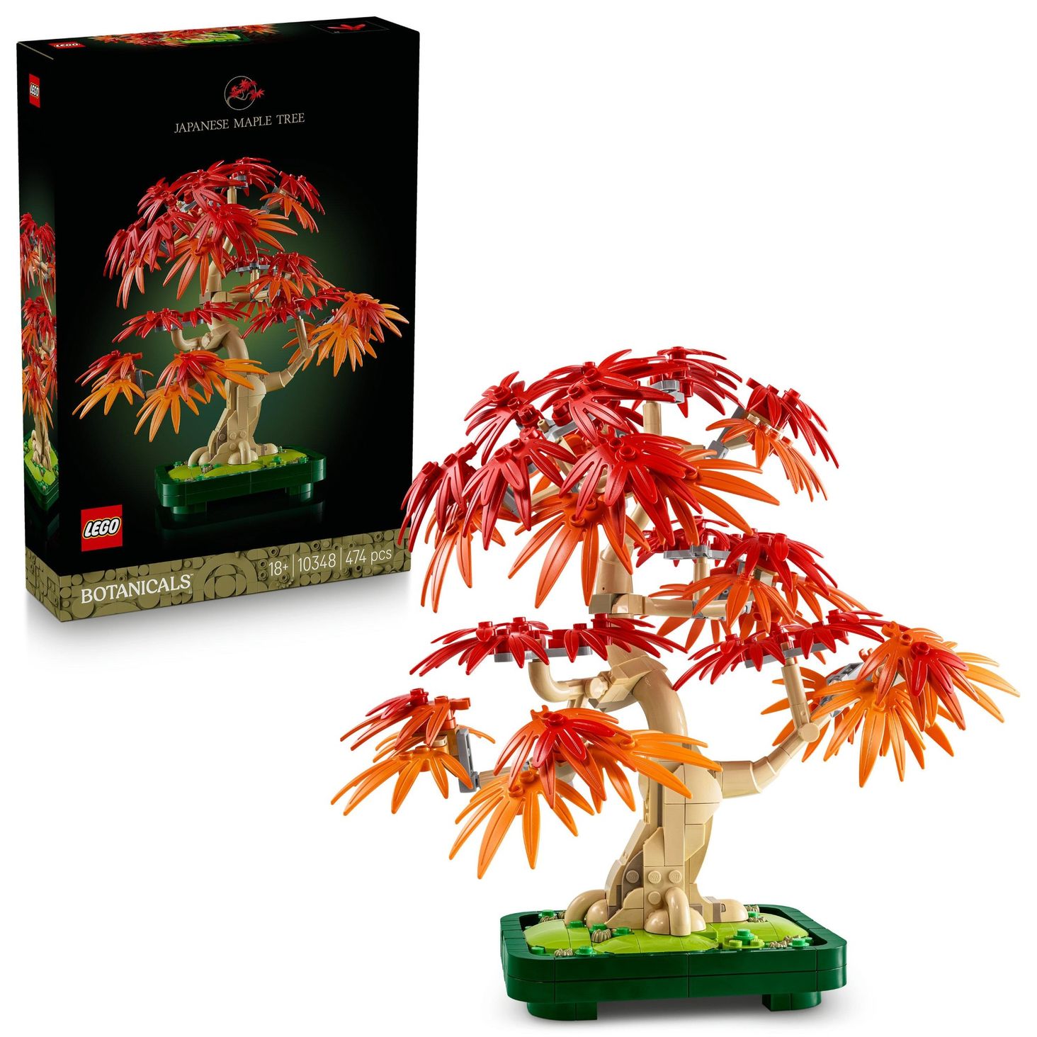 LEGO Botanicals 10348 - 1