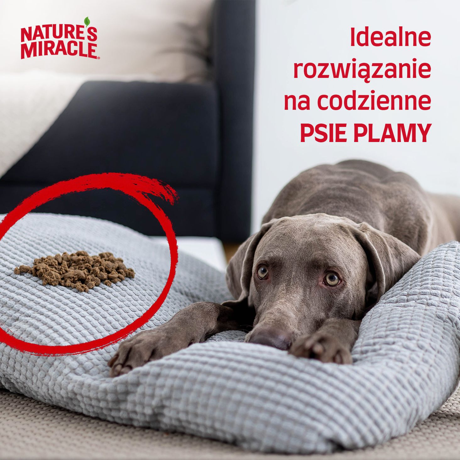 Nature-s-Miracle zdjęcie 5