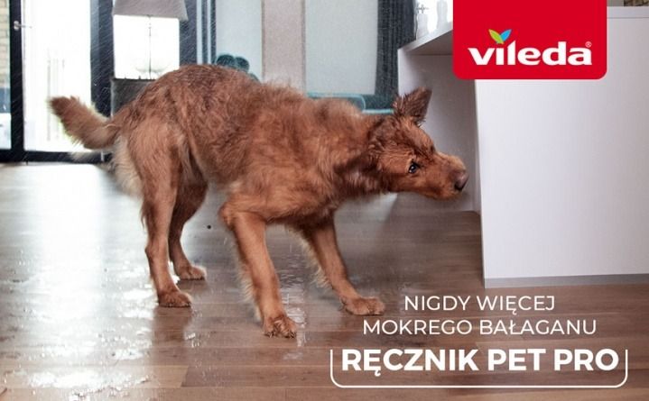 Vileda Grafika główna 2