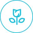 Xiaomi Smart Air Purifier 4 Lite