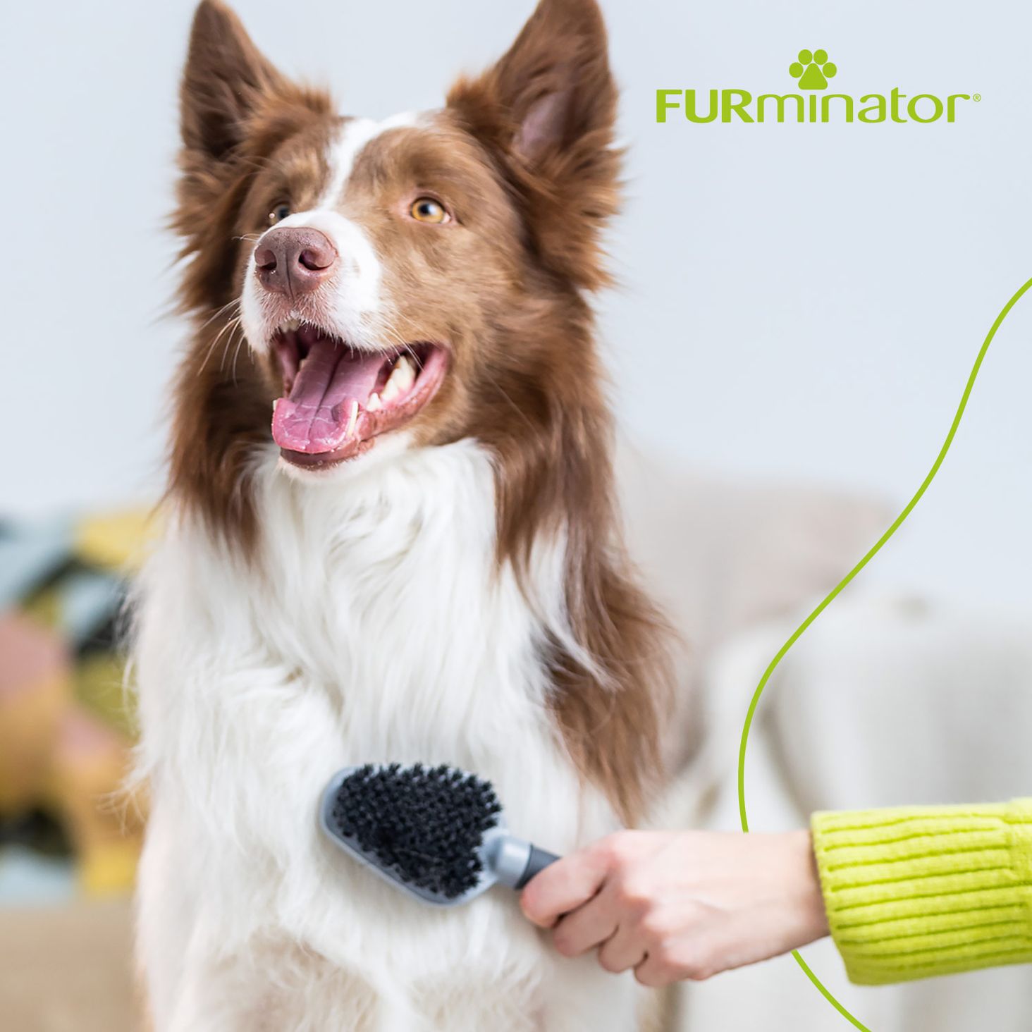FURmiator zdjęcie 2