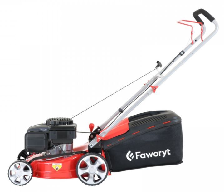 Faworyt SH41P123L