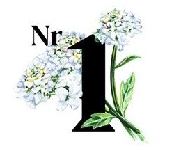 Ikona numer 1