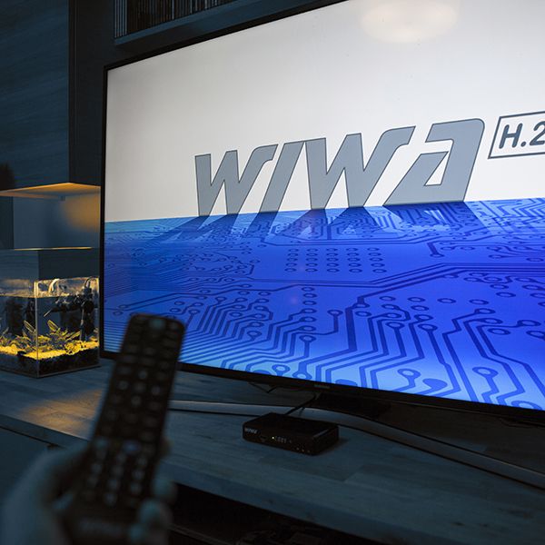 WIWA H.265 MAXX