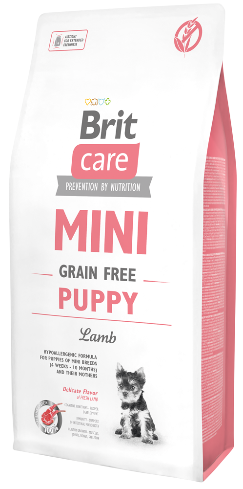 BRIT care mini