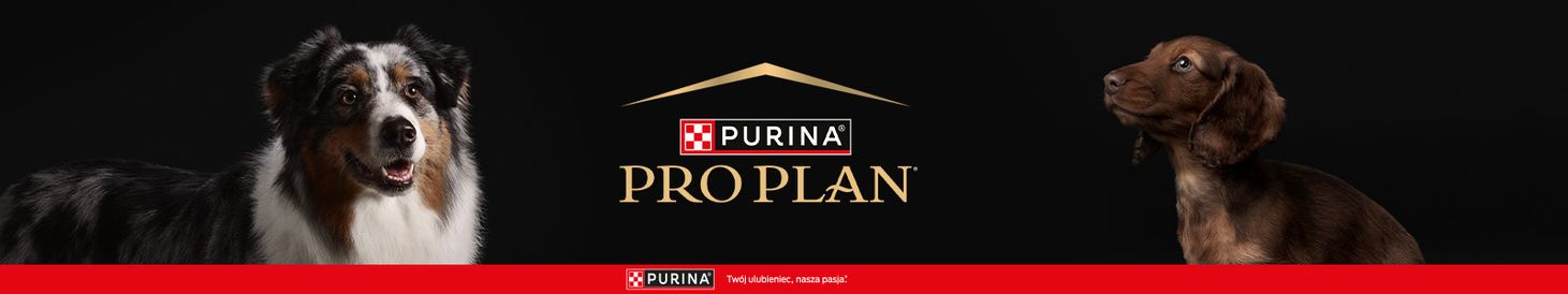 purinapies