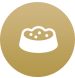 Dolina