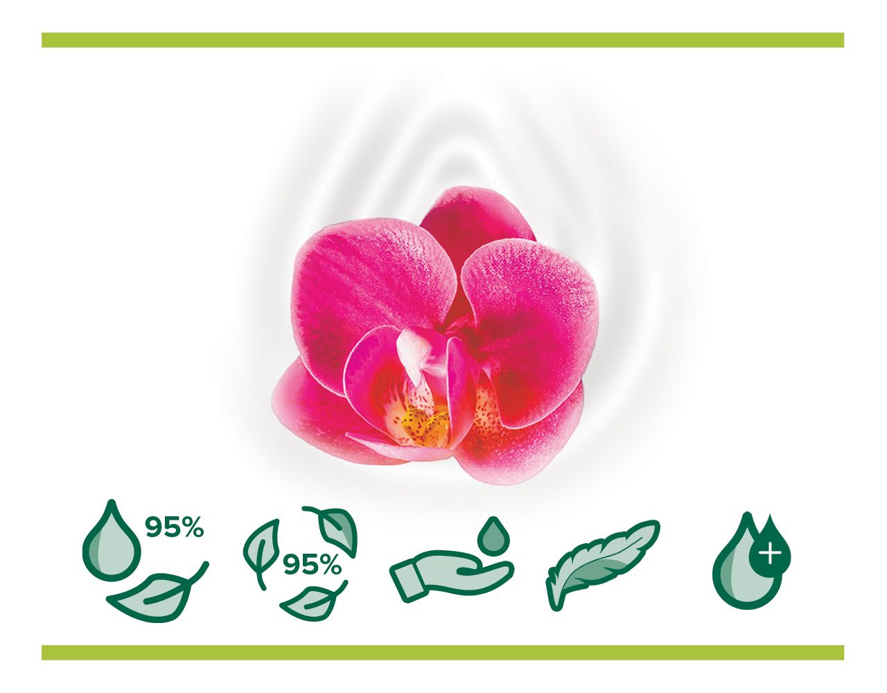 Palmolive Orchid