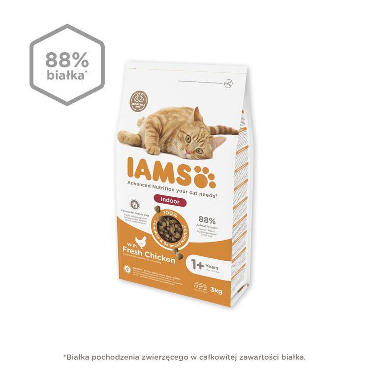 IAMS Advanced Nutrition – sucha karma dla kotów