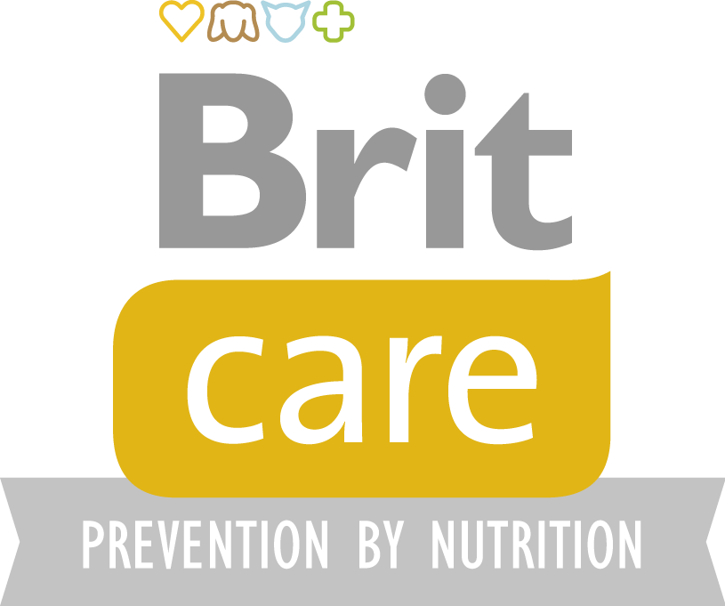 Brit care logo
