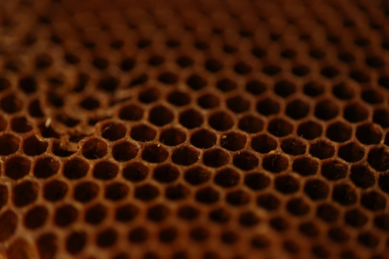 Canon RF 85mm F2 Macro IS STM