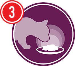 royal canin