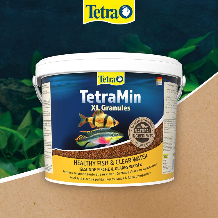 TetraMin XL Granules- 1