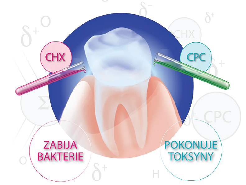 GUM® Paroex®