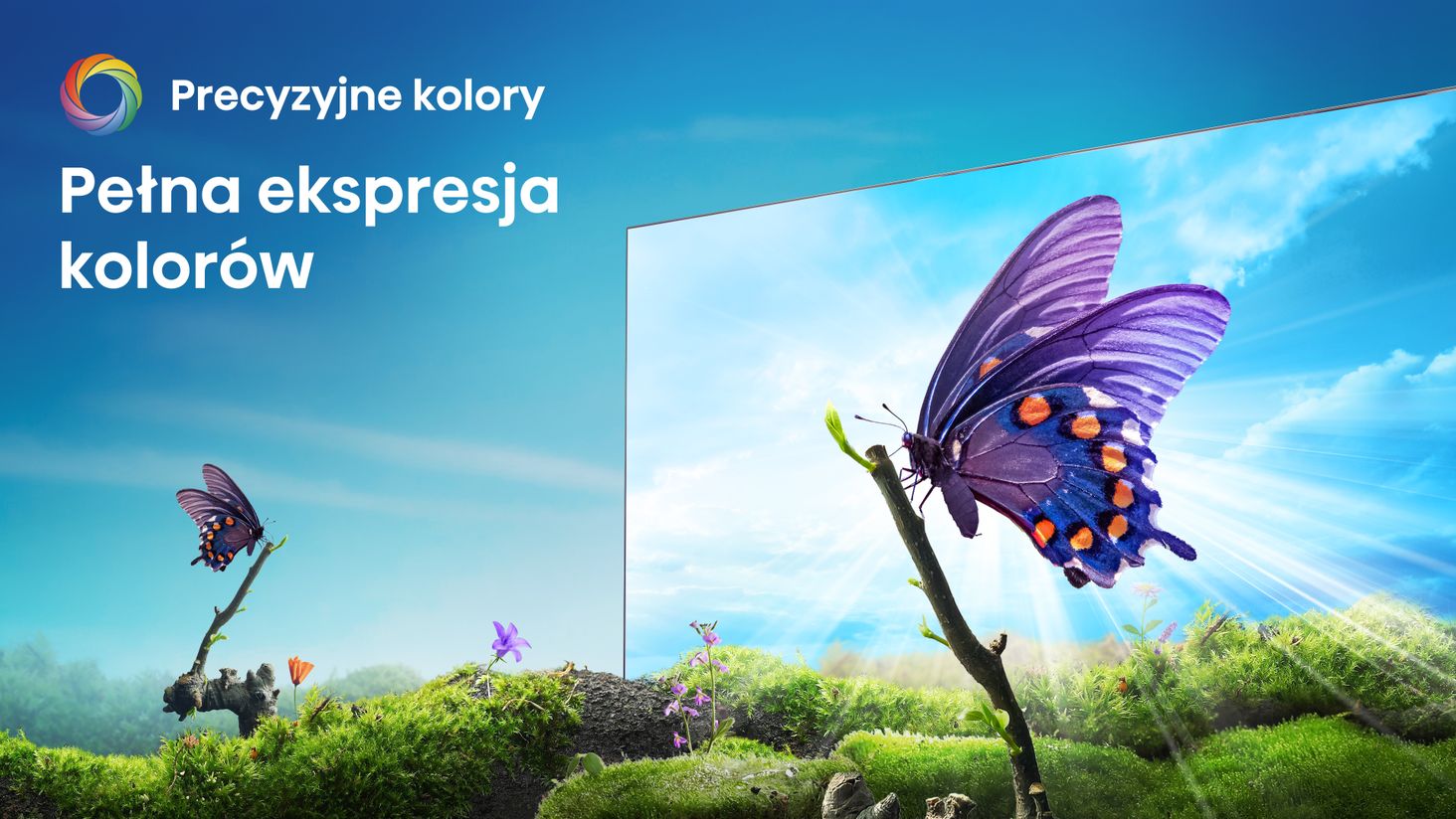 Hisense 2-Precision-Colour