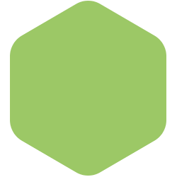 bondex