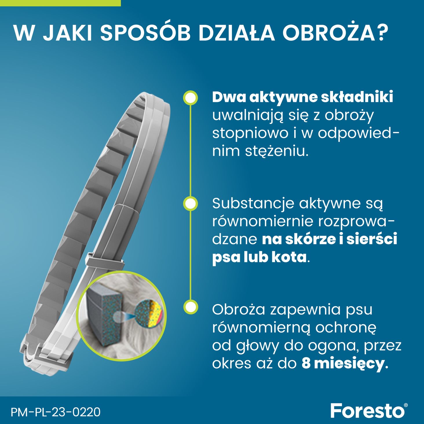 FORESTO dla małych psów i kotów poniżej 8kg - grafika 2