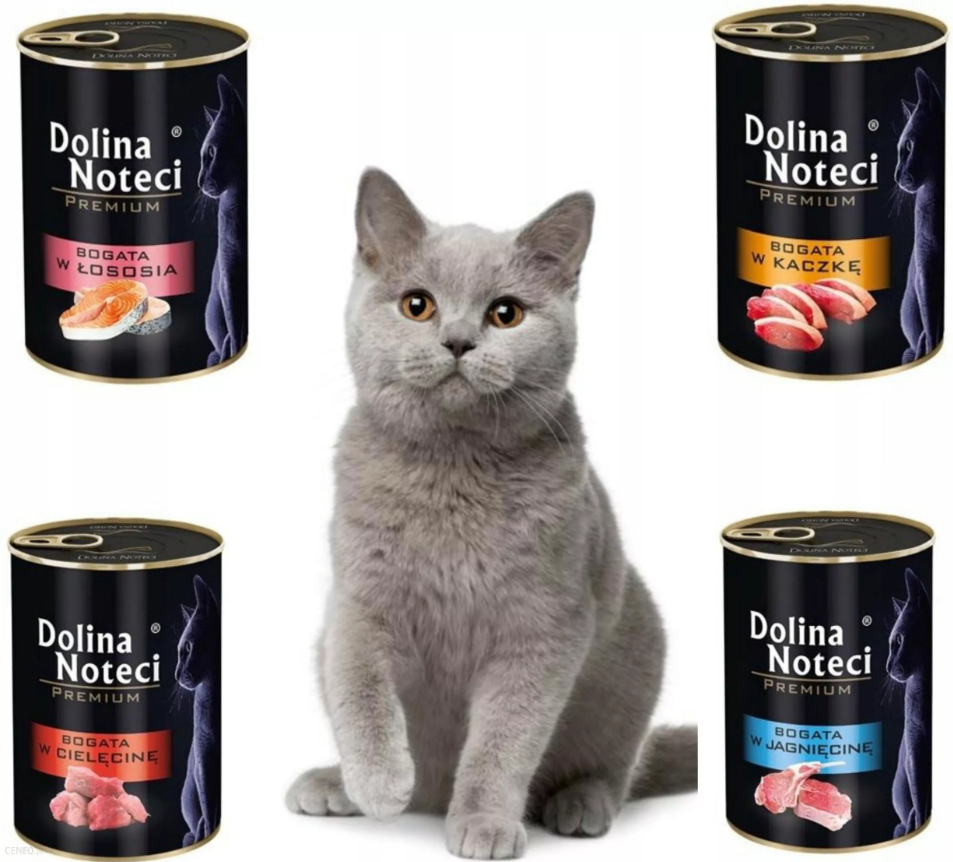 Dolina Noteci Piper Premium Mix