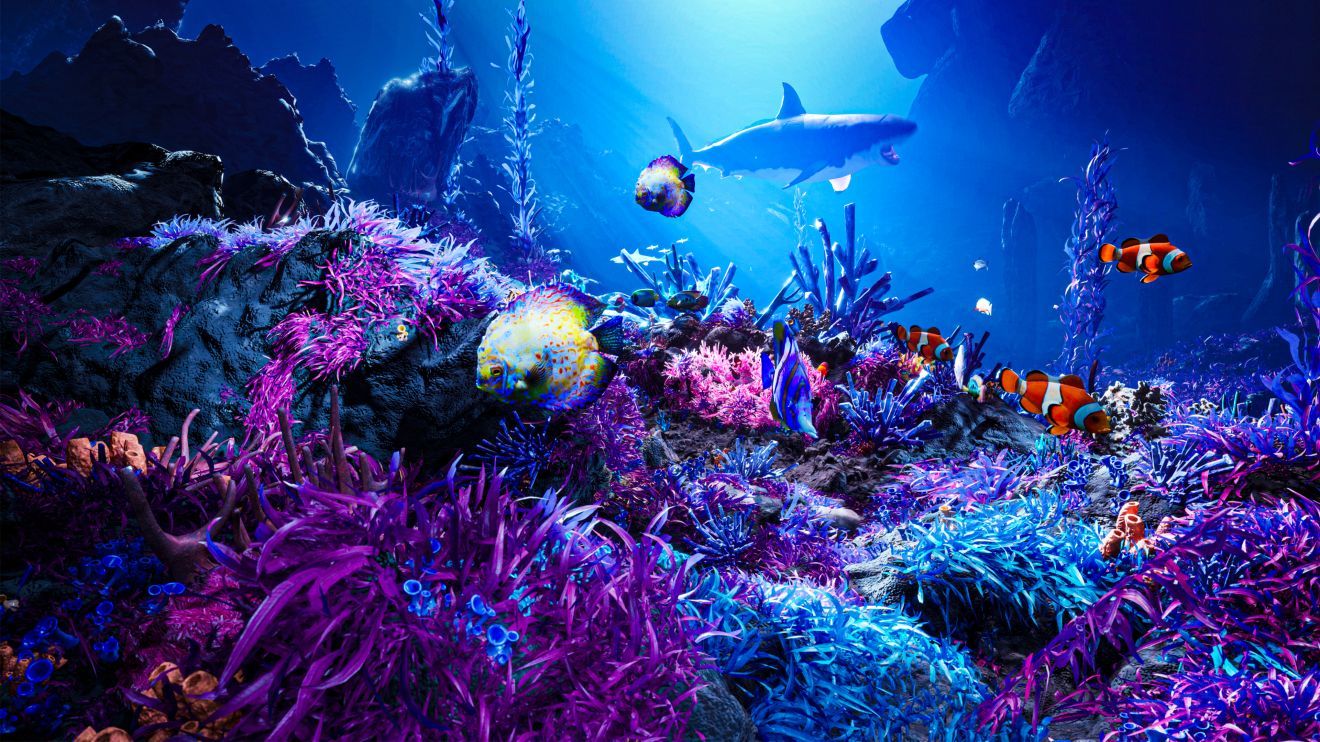 Hisense TV quantum dot colour