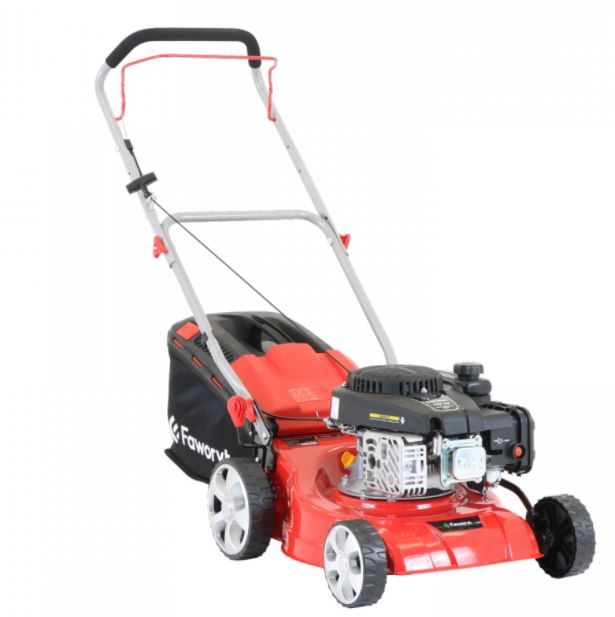 Faworyt SH41P123L