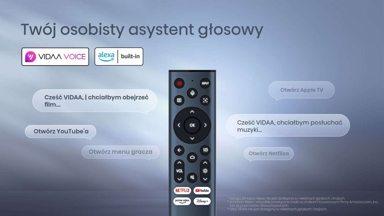 Hisense sterowanie głosowe