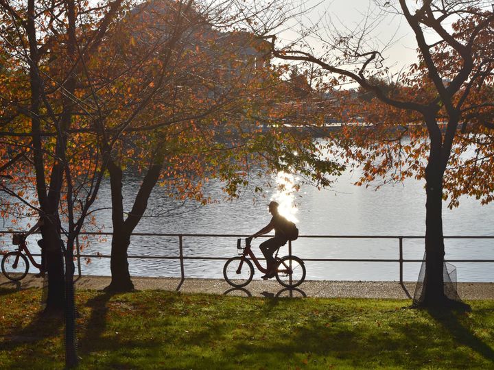 jazda rowerem jesienią