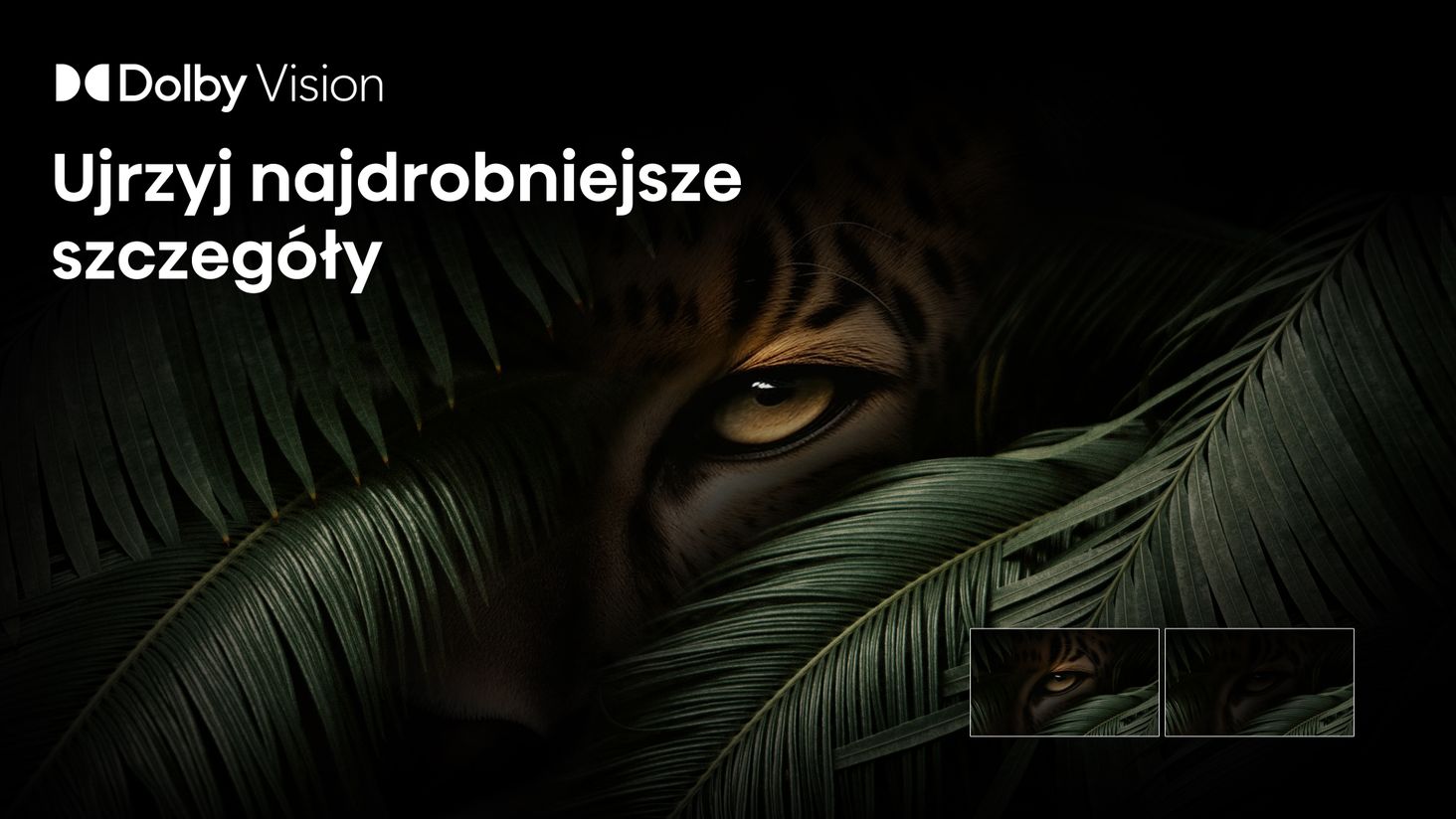 Hisense 8-HDR10+-Decoding-Dolby-Vision-