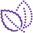 ikona
