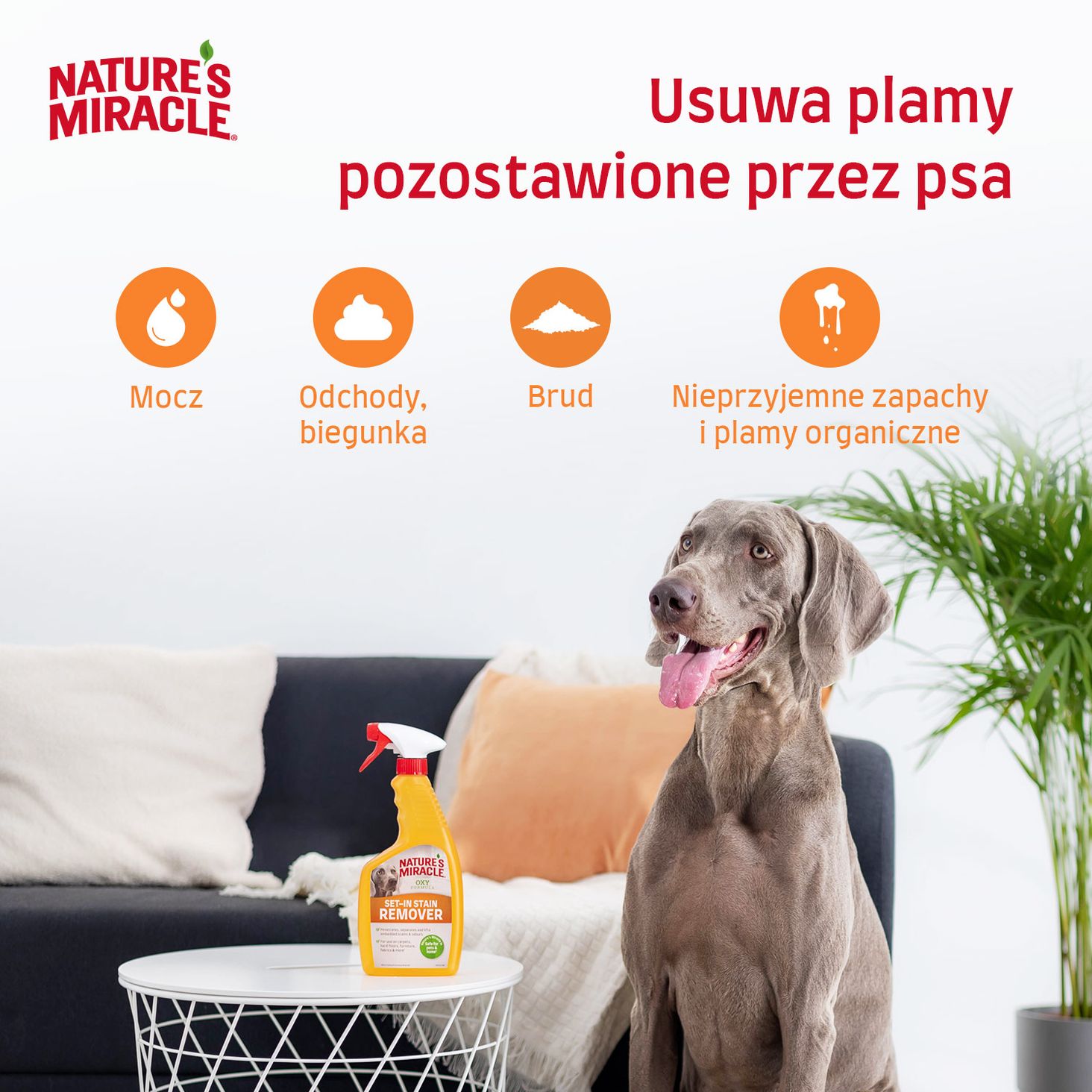 Nature-s-Miracle zdjęcie 2