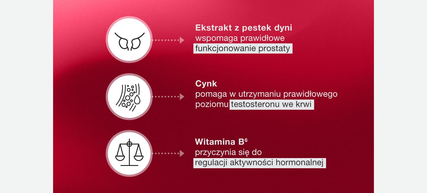Prostaceum Grafika 3