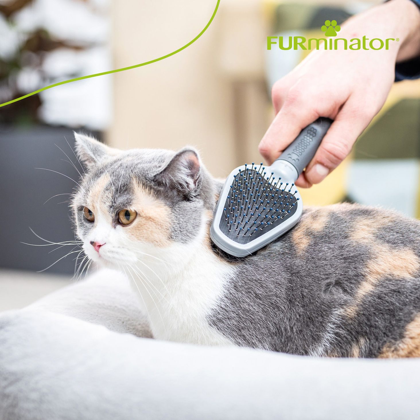 FURminator zdjęcie 5