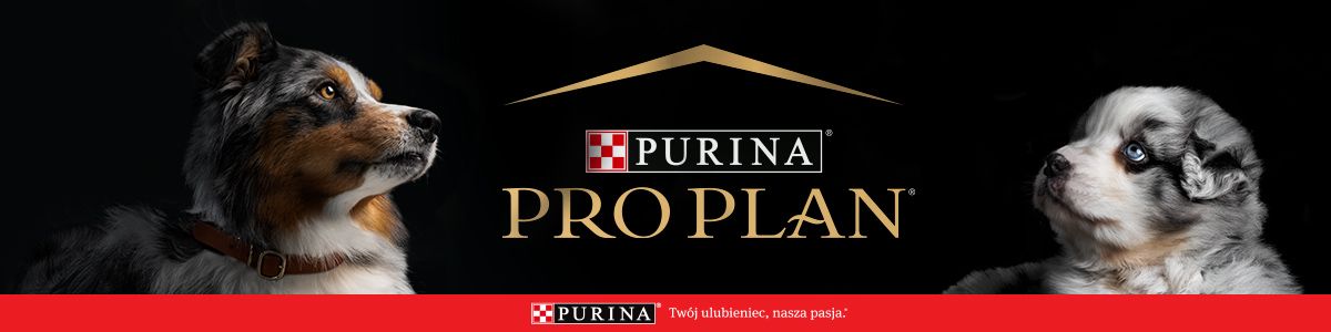 Pro Plan logo
