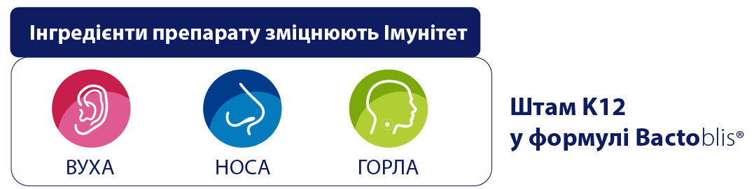 składniki produktu wspierają odporność