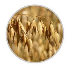 Kemon ACTYVA Nutrizione Ricca Mask