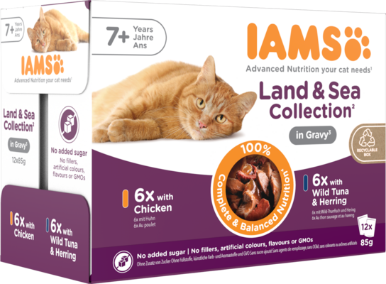 IAMS Advanced Nutrition Charakterystyka karmy-2