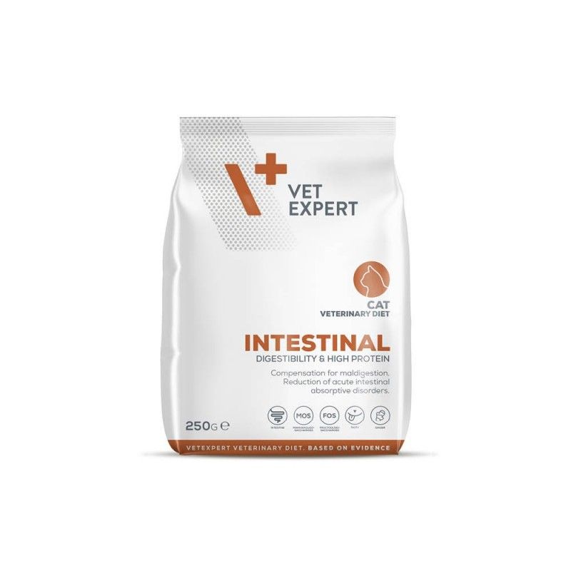 VETEXPERT