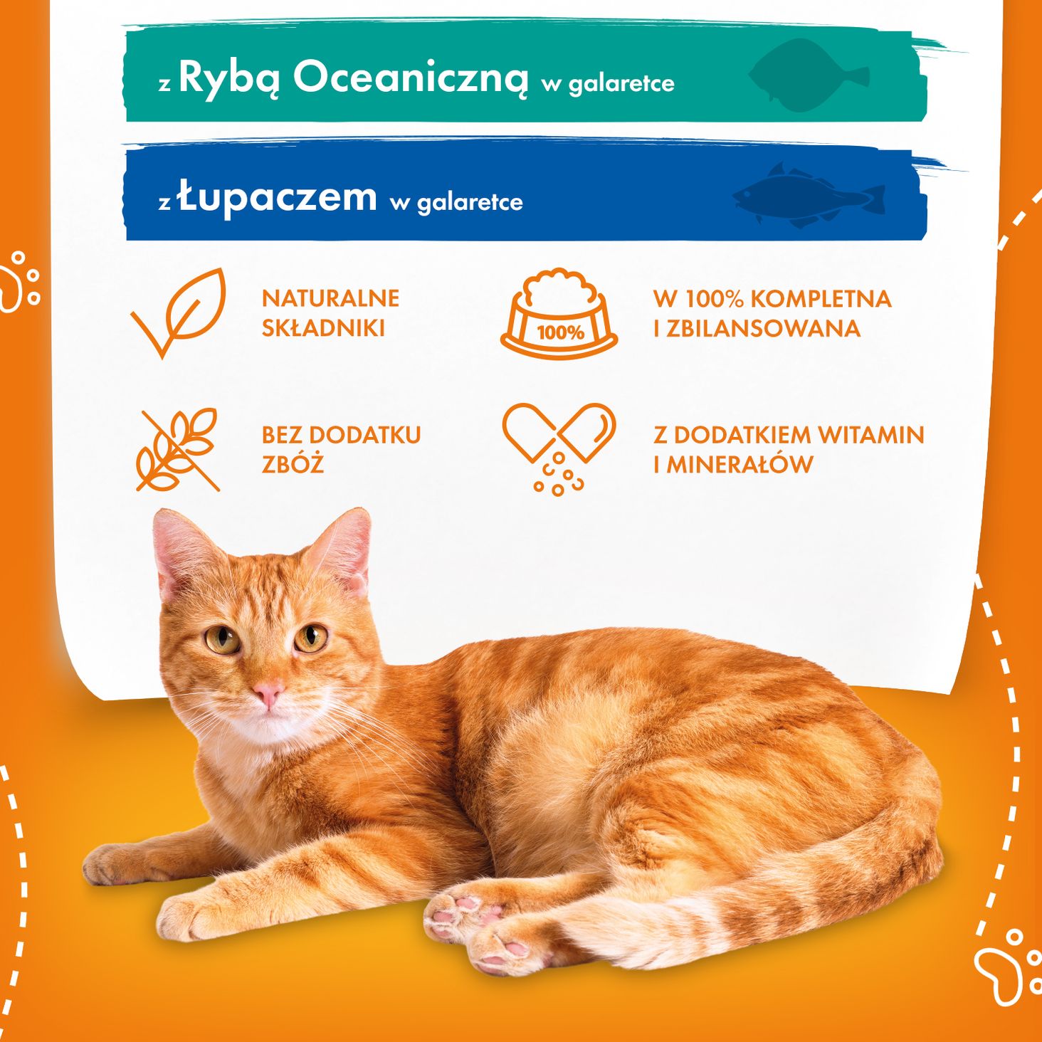 butcher's o kot galaretka z łupaczem i rybą oceaniczną